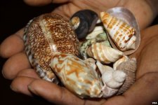 +27717001110[Psychic] black magic lost love spell caster in Burbank, Burlingame,Calabasas, Al...jpeg