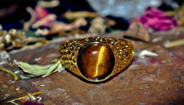 Ringcv.png